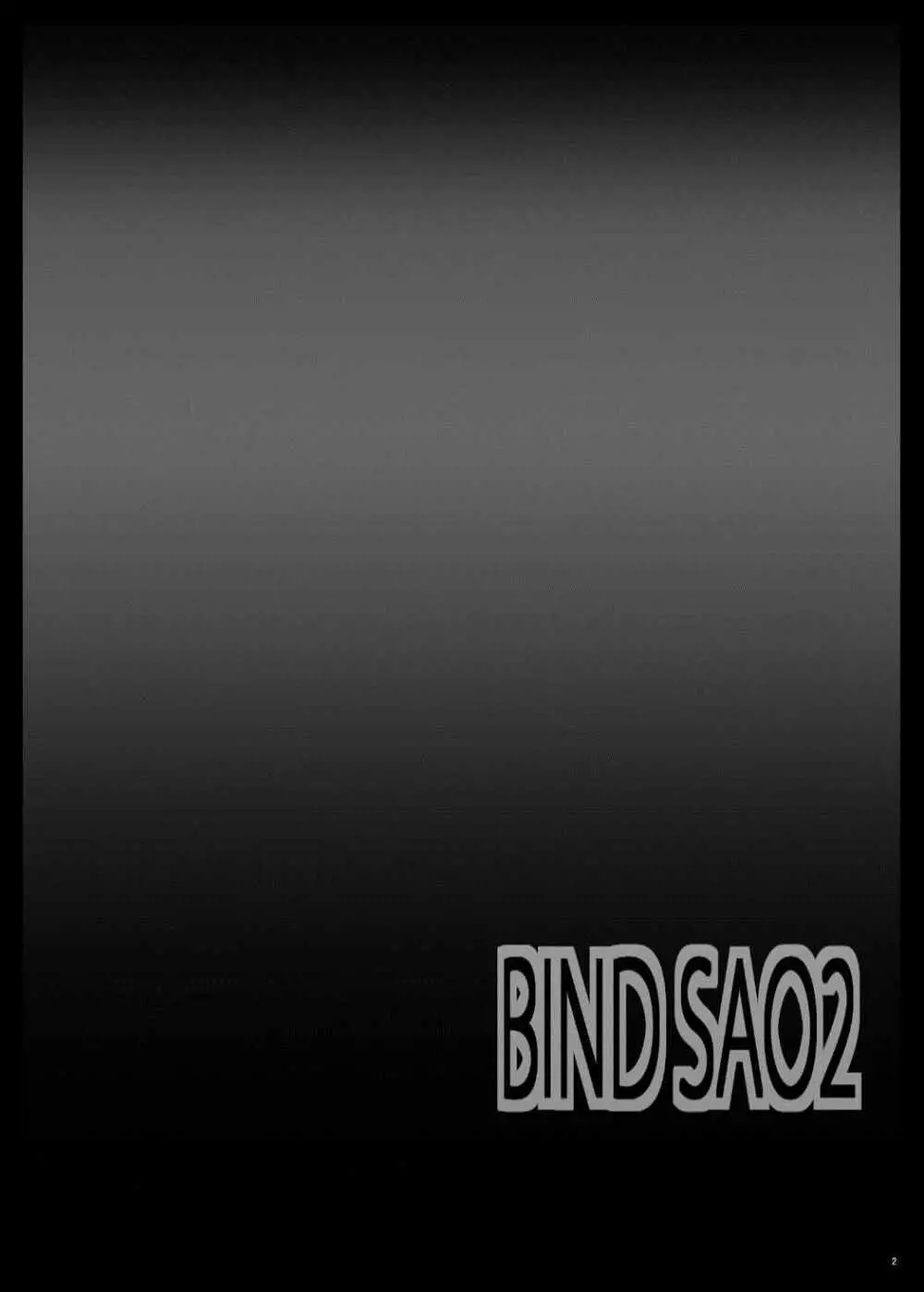 Bind SAO 2 Page.3