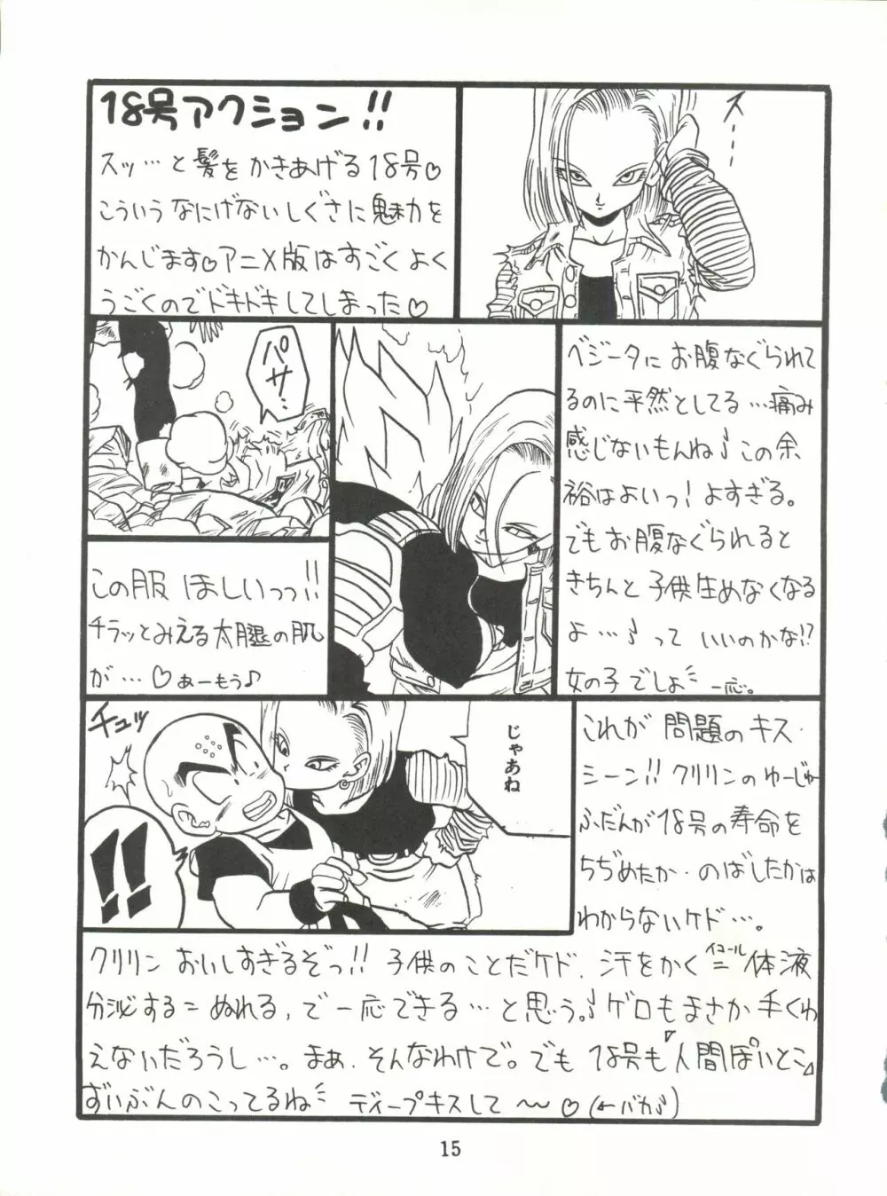 REPLICATE Page.15