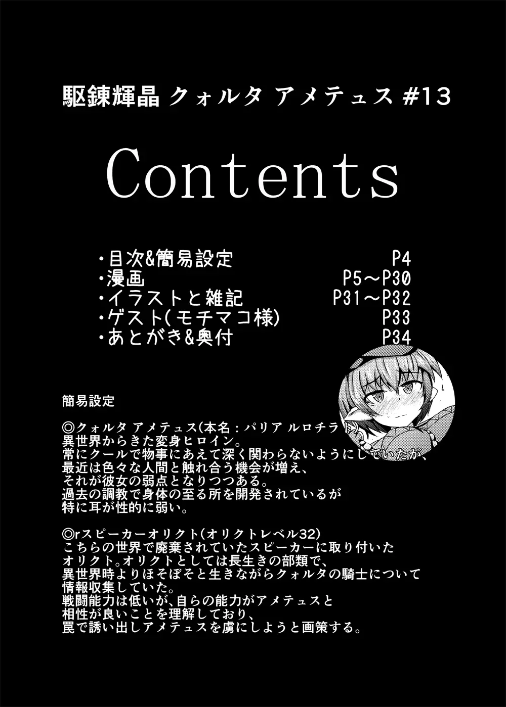 駆錬輝晶 クォルタ アメテュス #13 Page.3