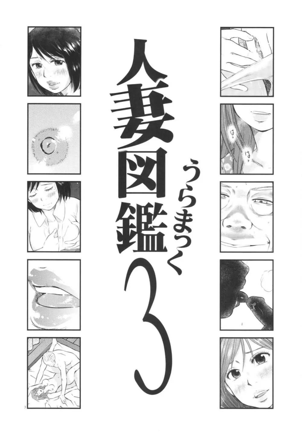 人妻図鑑3 Page.3