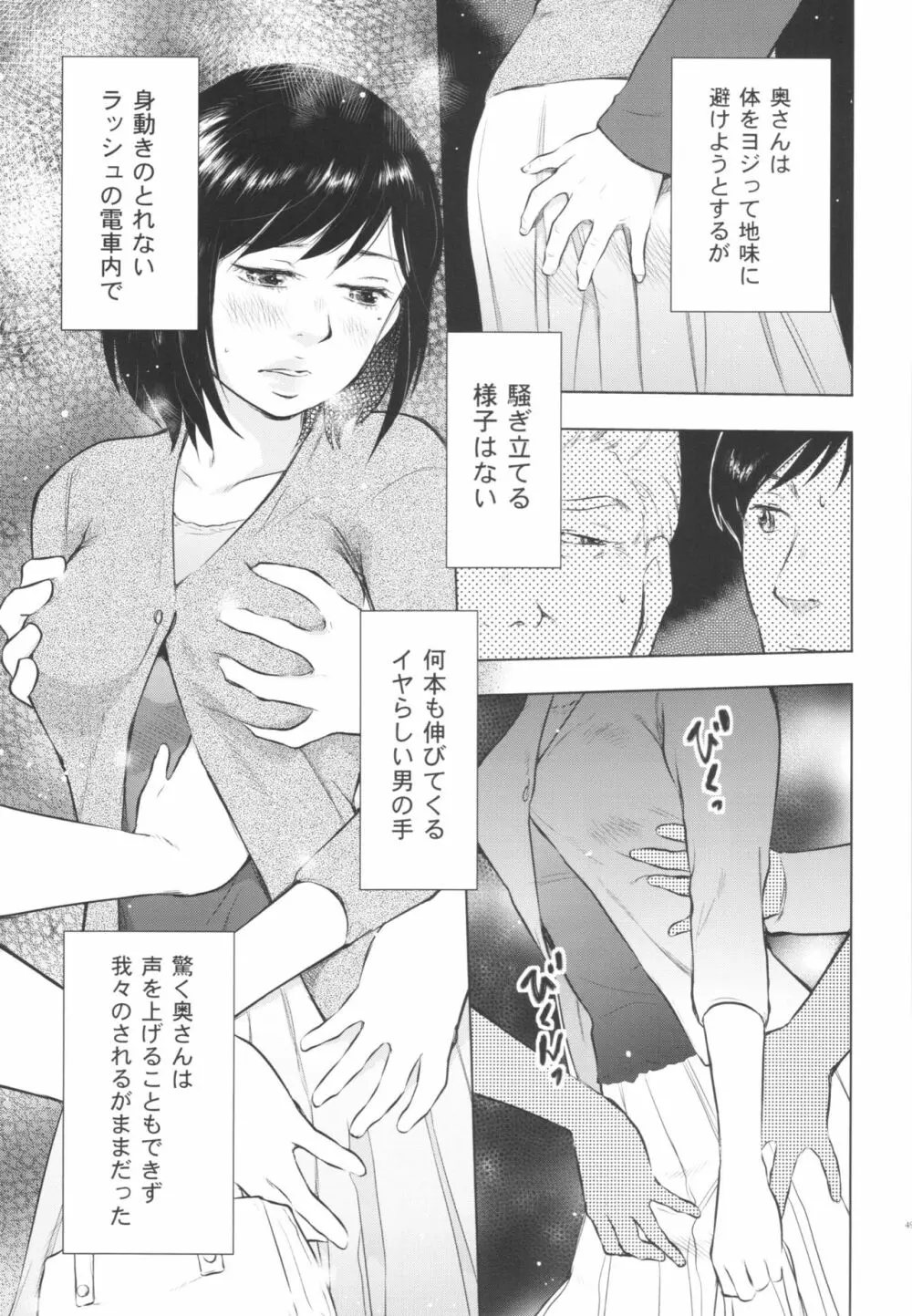 人妻図鑑3 Page.49