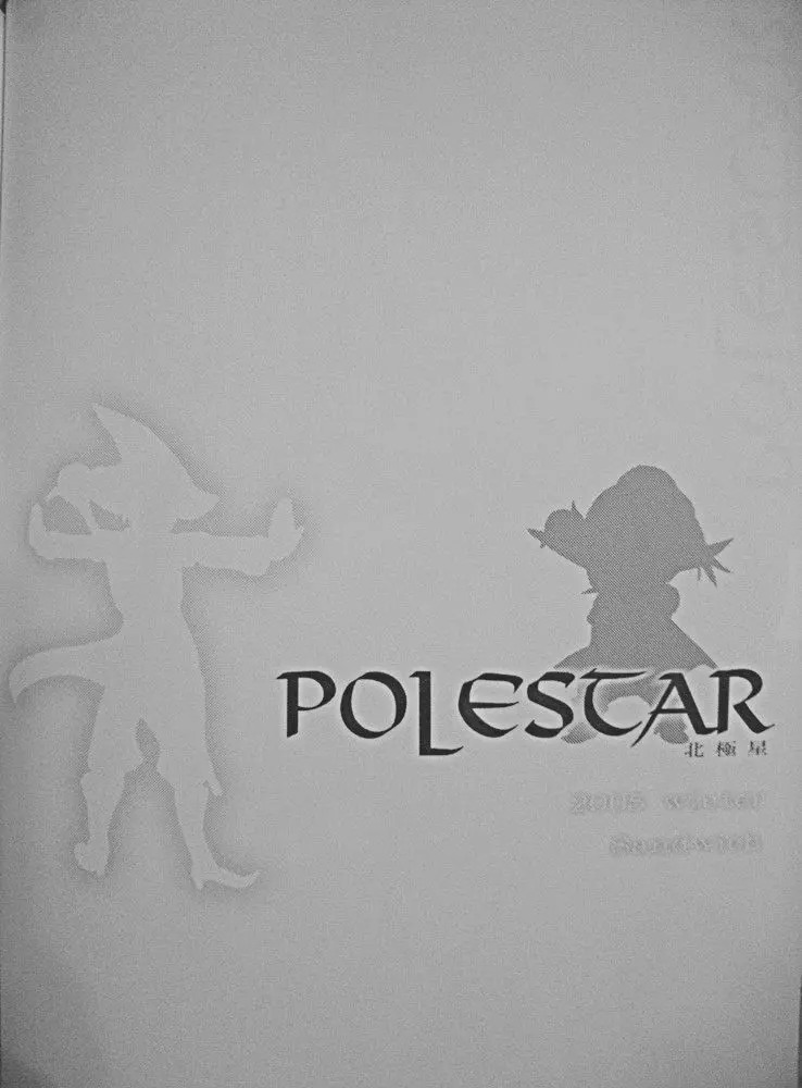 Polestar Page.2