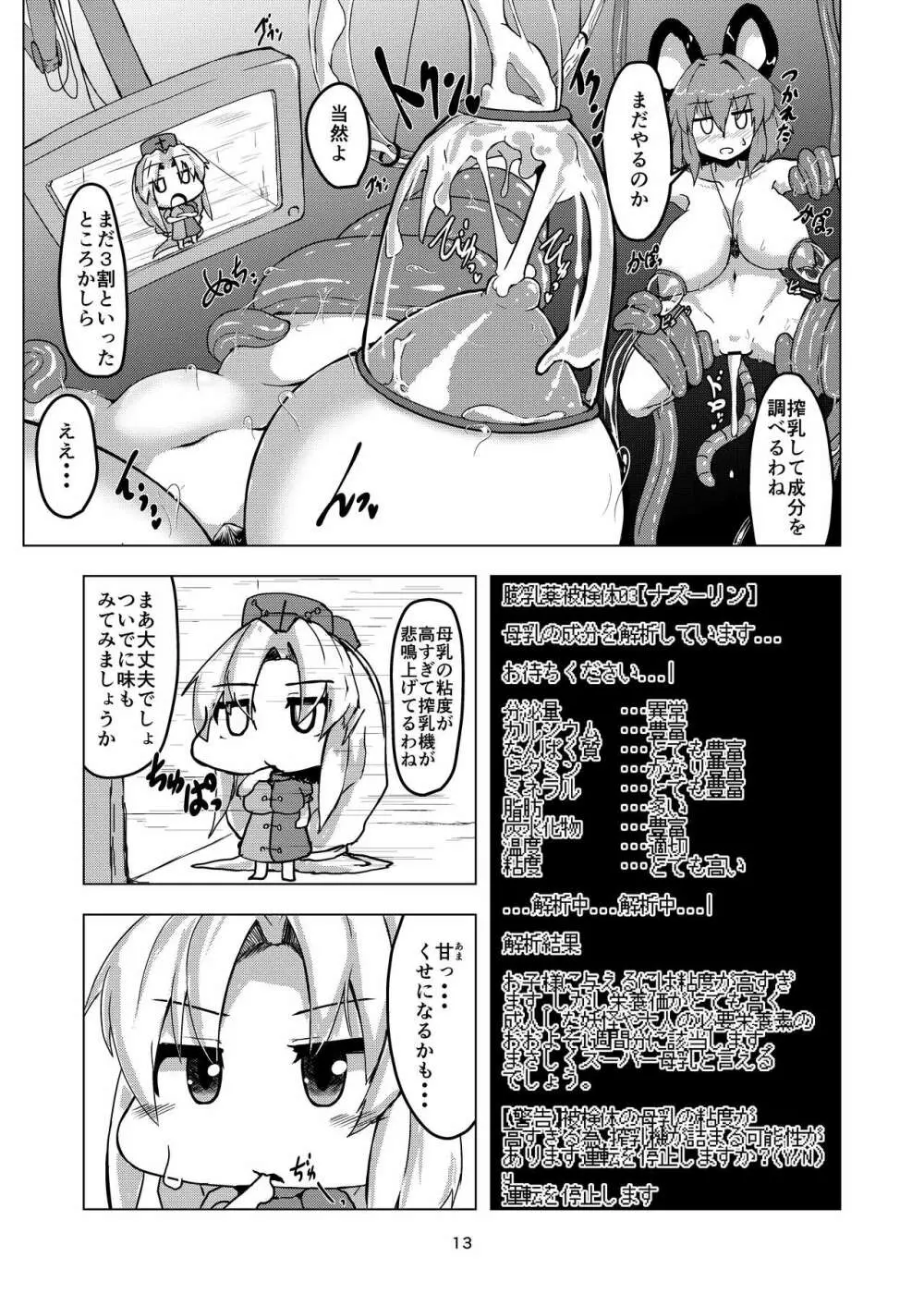 実験用ナズーリン Page.12