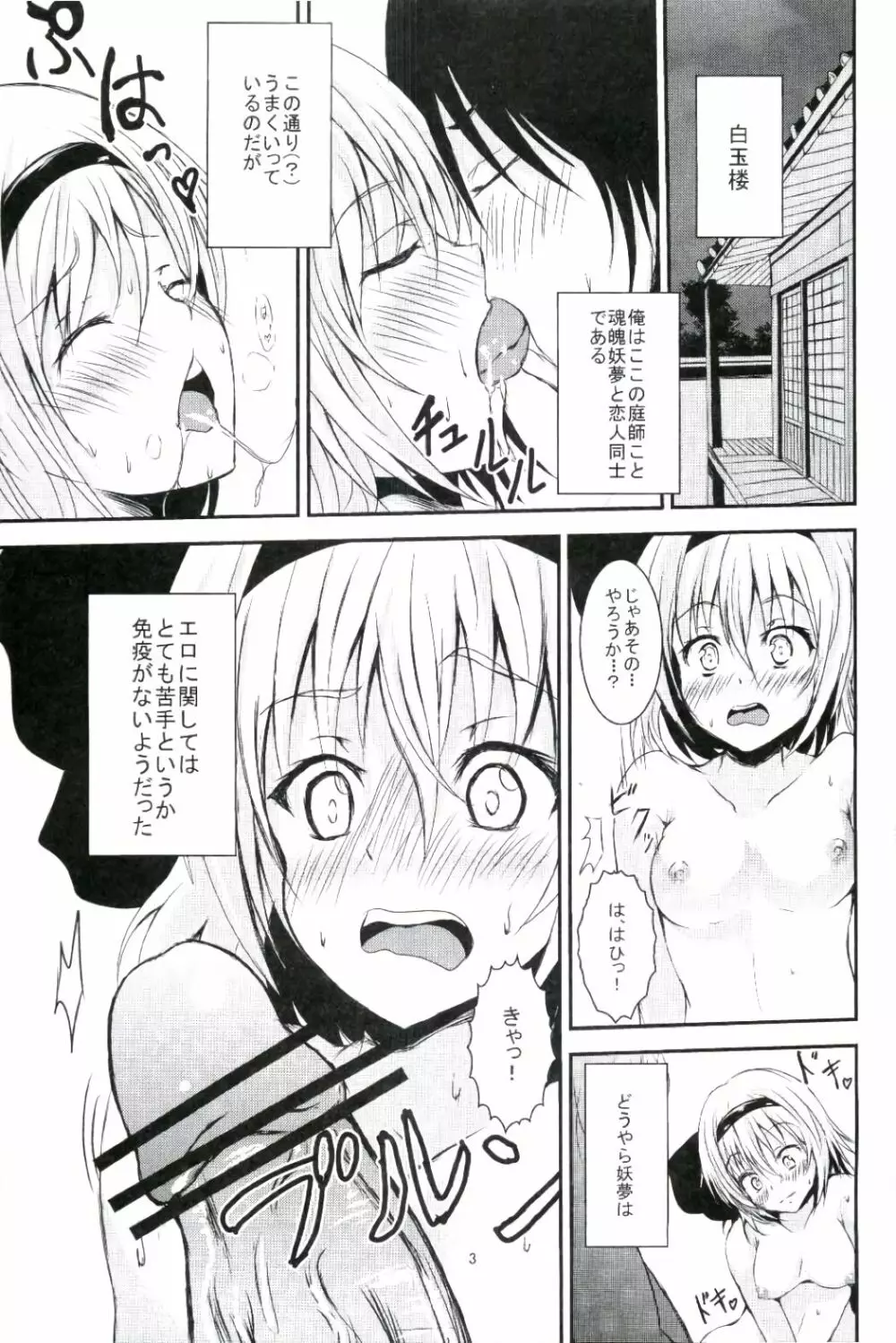 魂魄妖夢のHな日常 Page.4