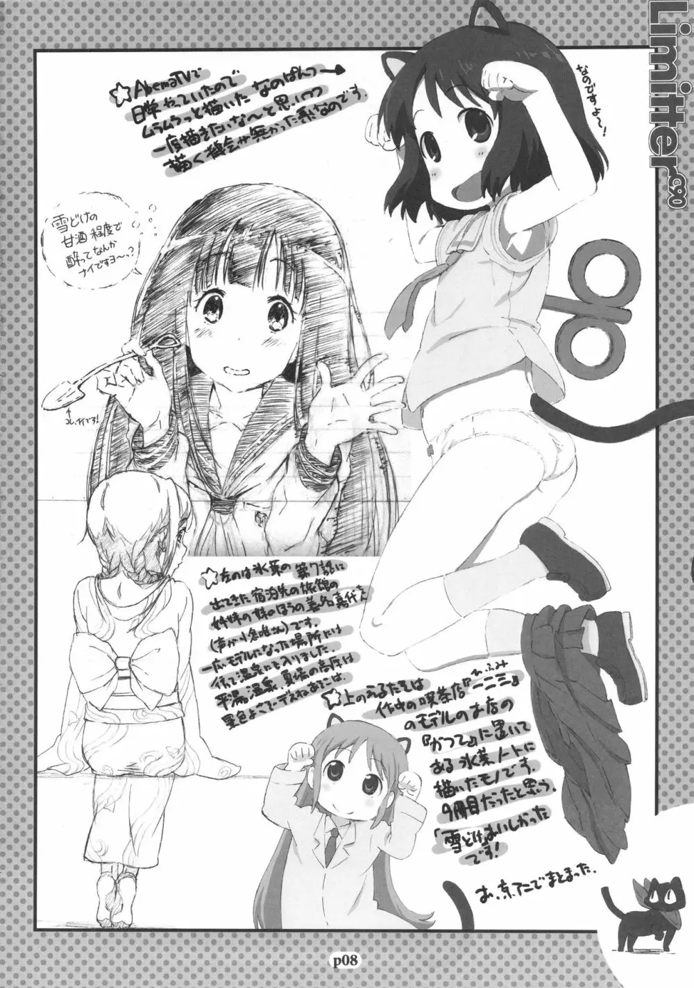 Limitter C90 Page.8