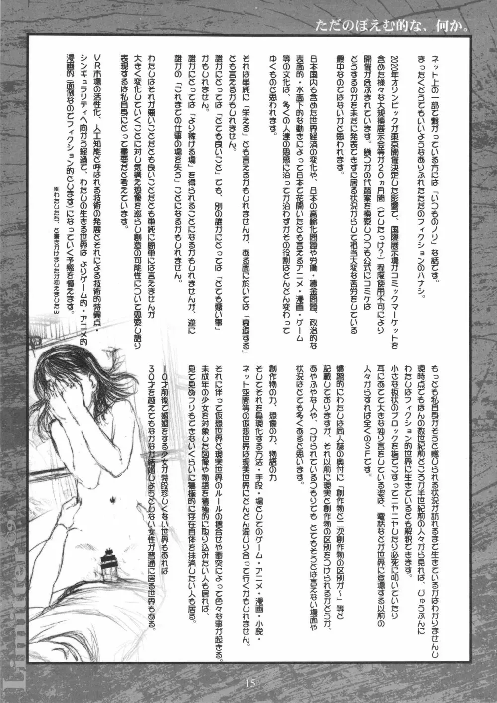 Limitter C91 Page.15