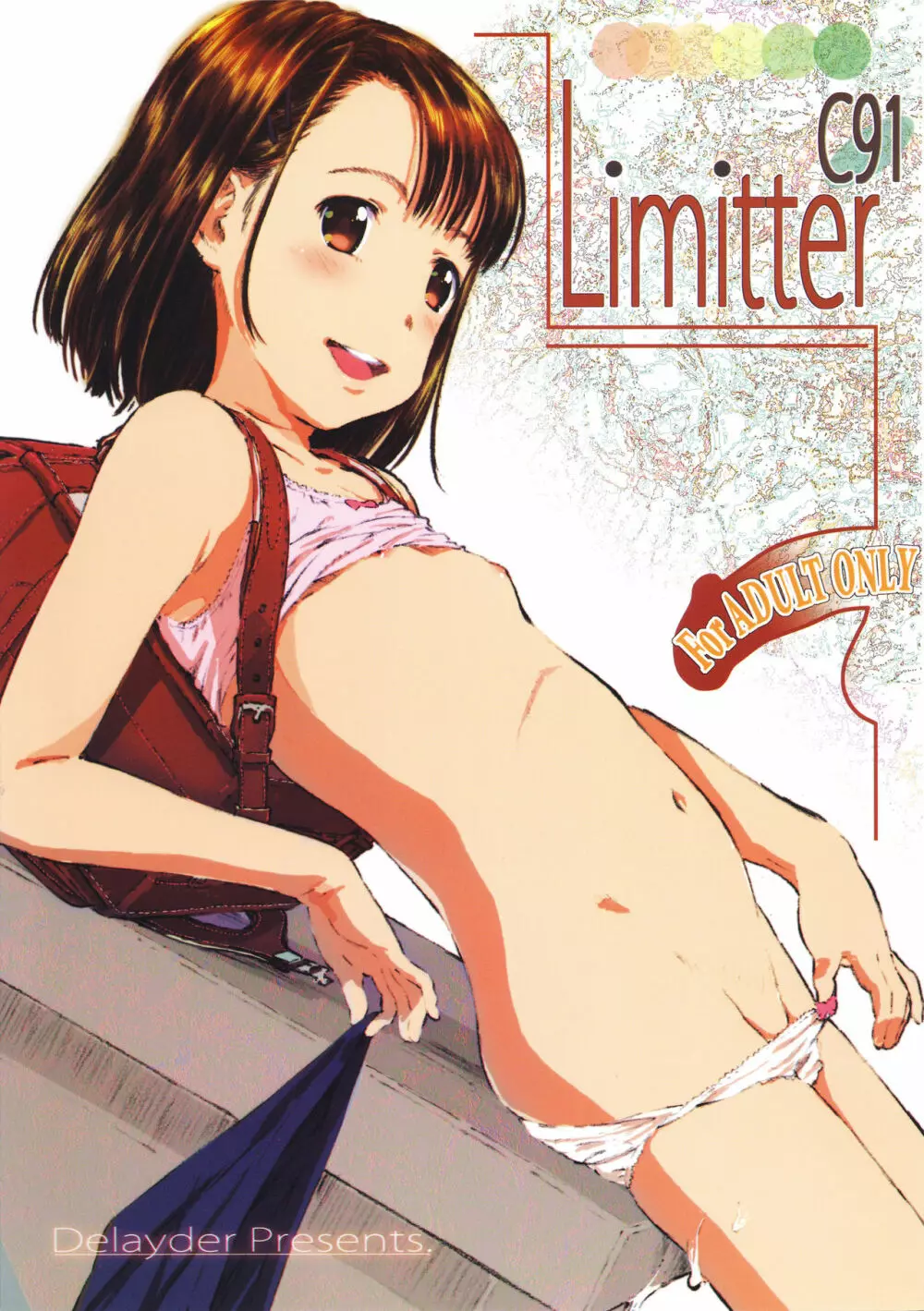 Limitter C91 Page.2
