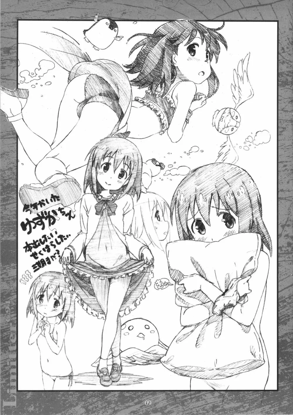 Limitter C91 Page.9