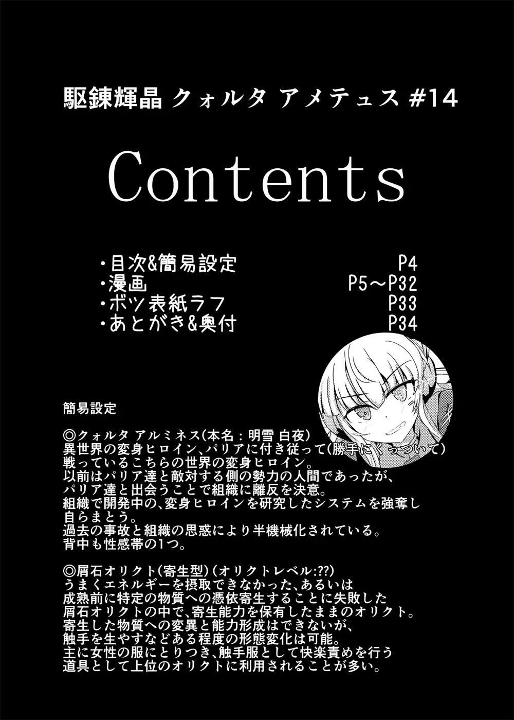 駆錬輝晶 クォルタ アメテュス #14 Page.3