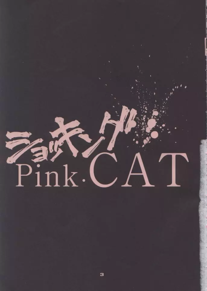 ショッキングPINK・CAT Page.3