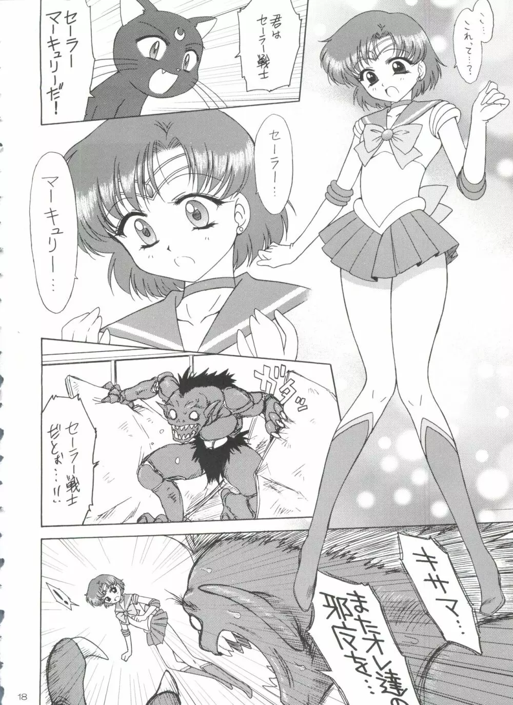 SUBMISSION-R RE・MERCURY Page.17