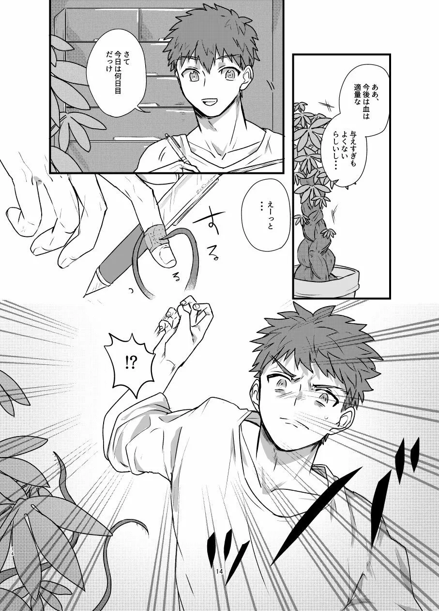 [Microbeurre (小旗つねちか)] あ~!士郎くん危な~い (Fate/stay night) [DL版] Page.13