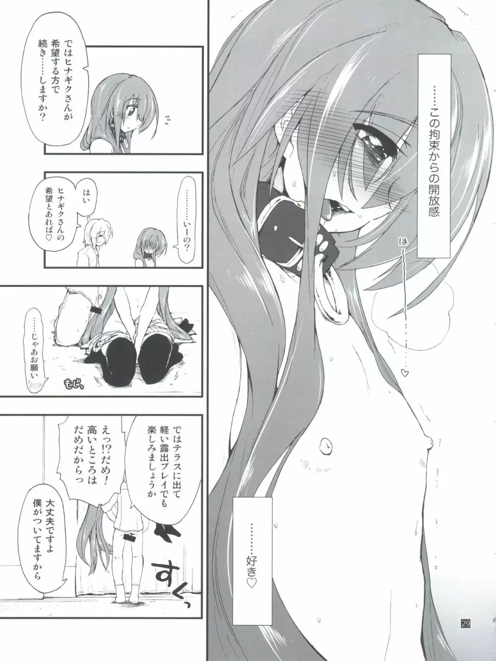 ヒナとハヤテ 2 Page.29