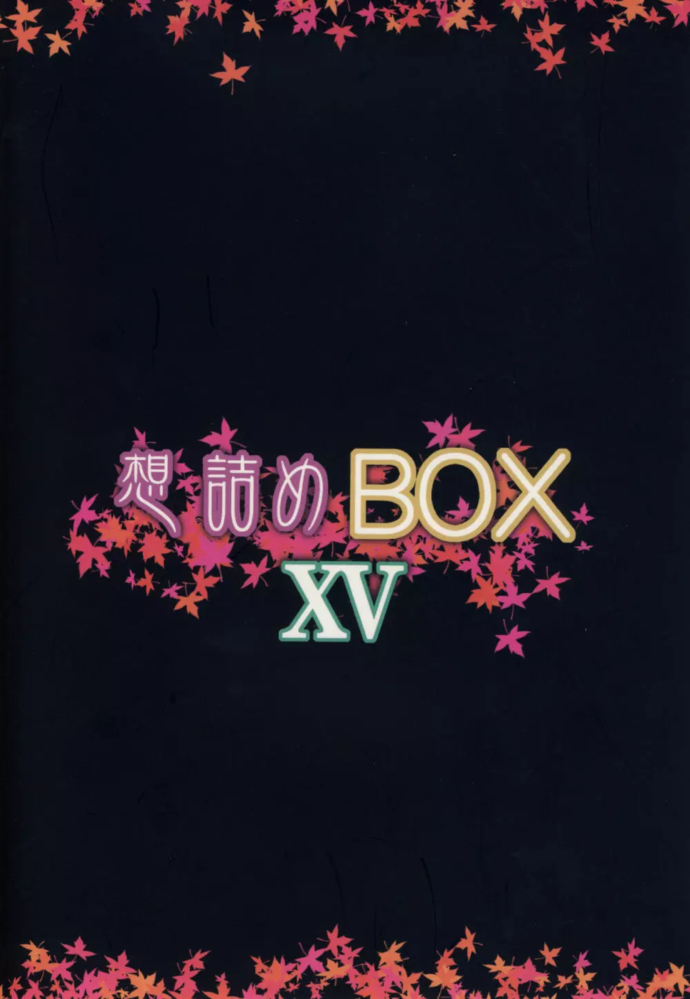 想詰めBOX XV Page.28
