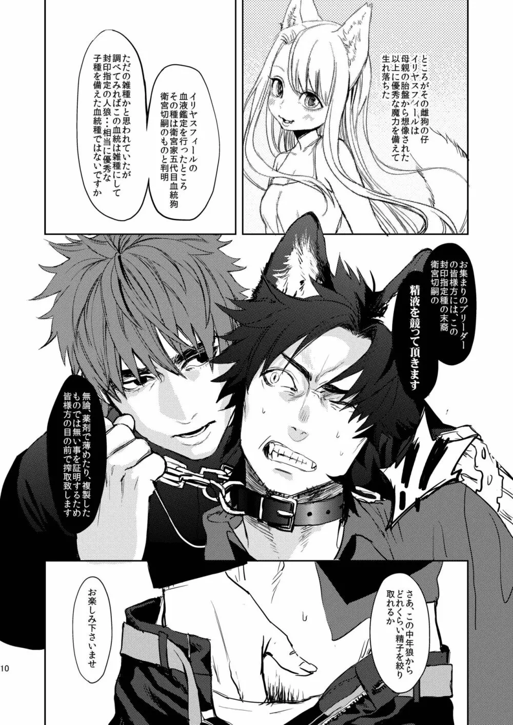 Fate/Wolf Page.11