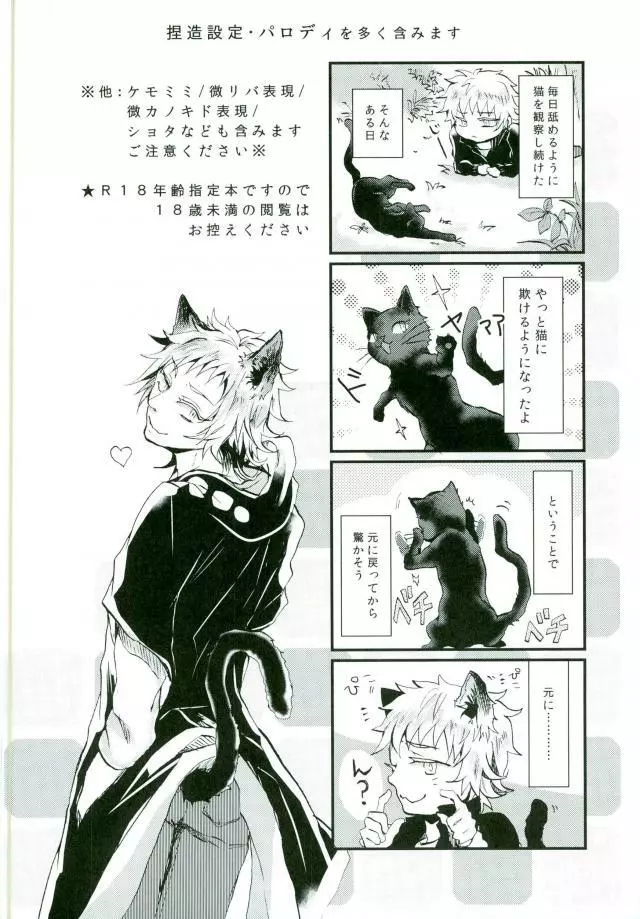 ウソツキネコ Page.2