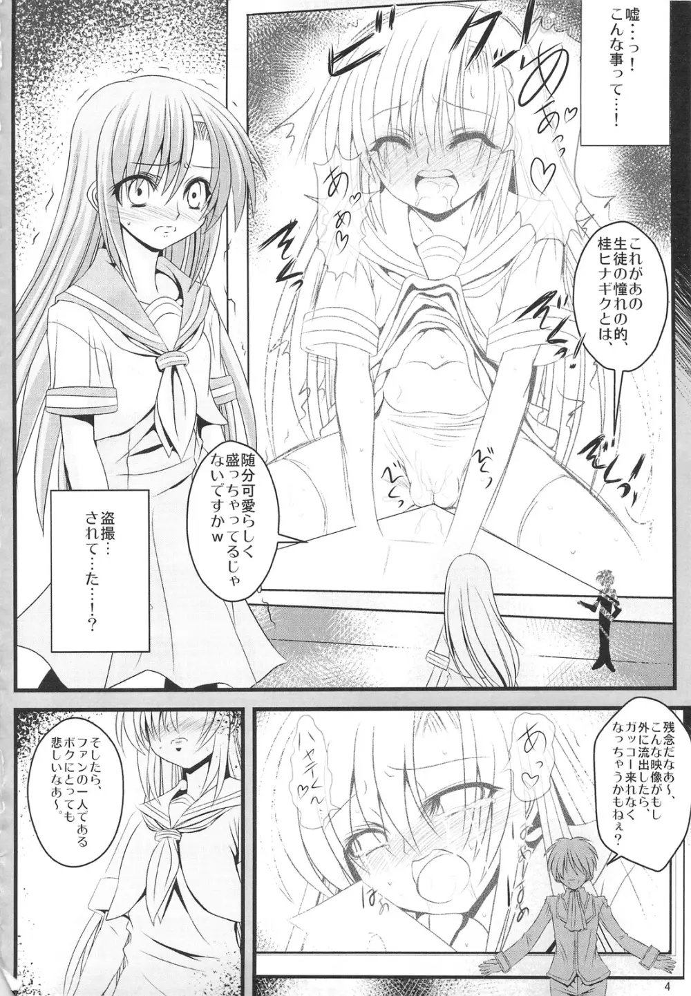 堕ちた雛 散る乱菊 Page.3