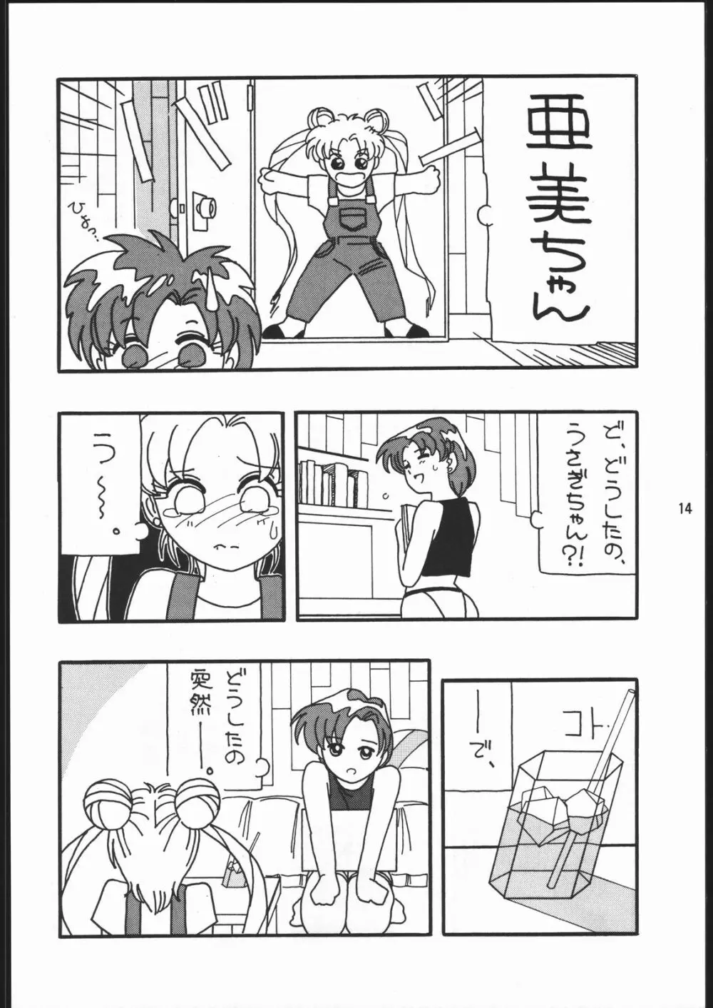 うさぎがぴょんR Page.13