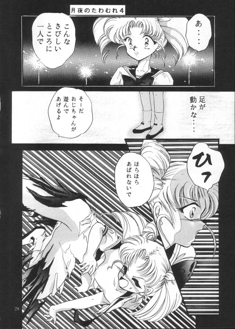 月夜のたわむれ Vol.4 Page.26