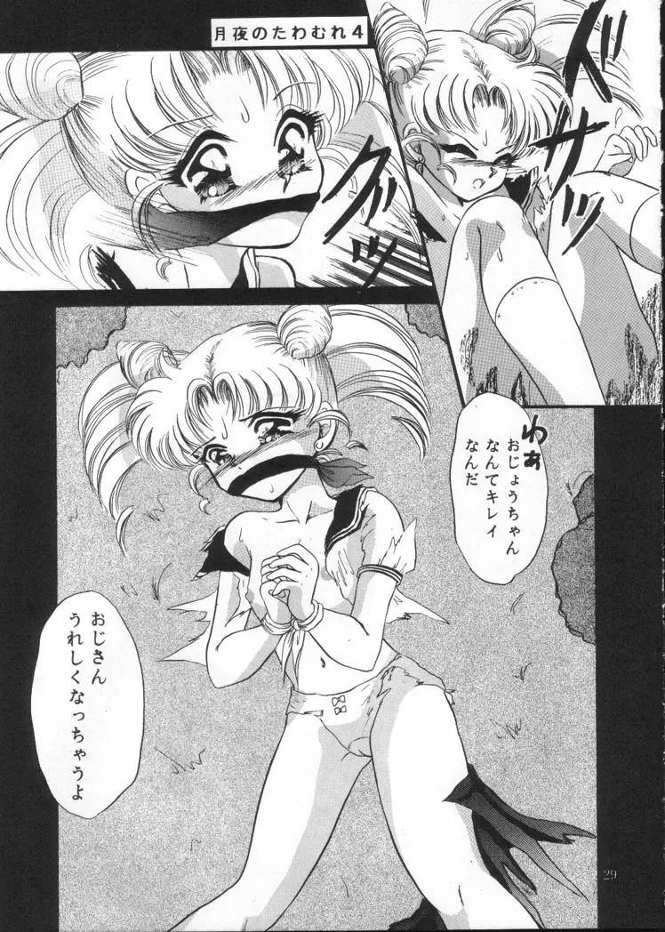 月夜のたわむれ Vol.4 Page.27