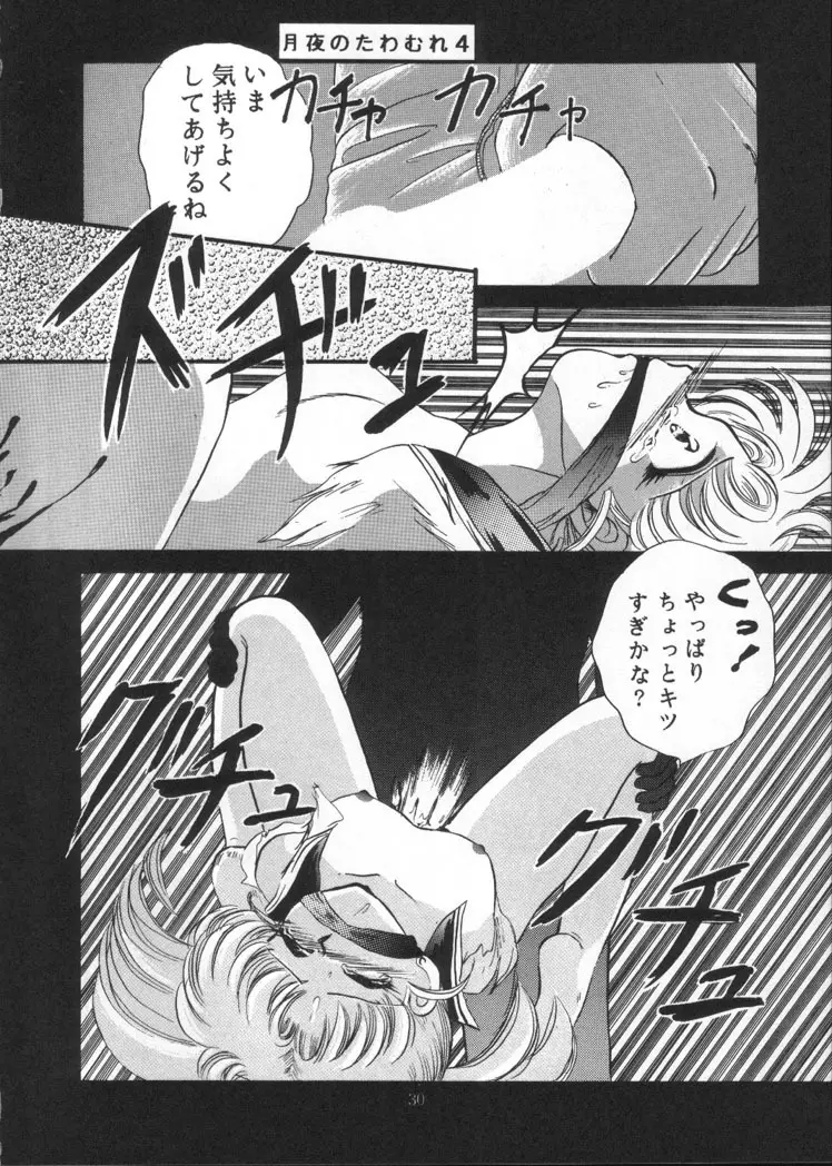 月夜のたわむれ Vol.4 Page.28