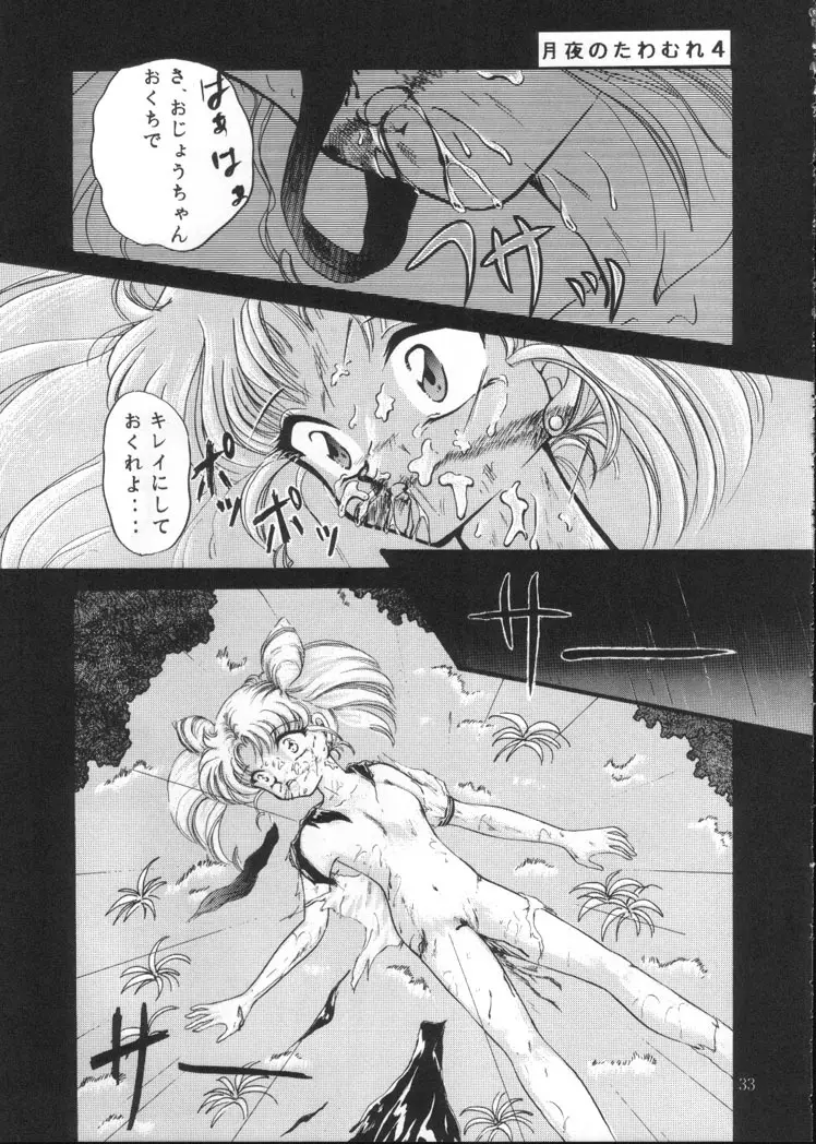 月夜のたわむれ Vol.4 Page.31