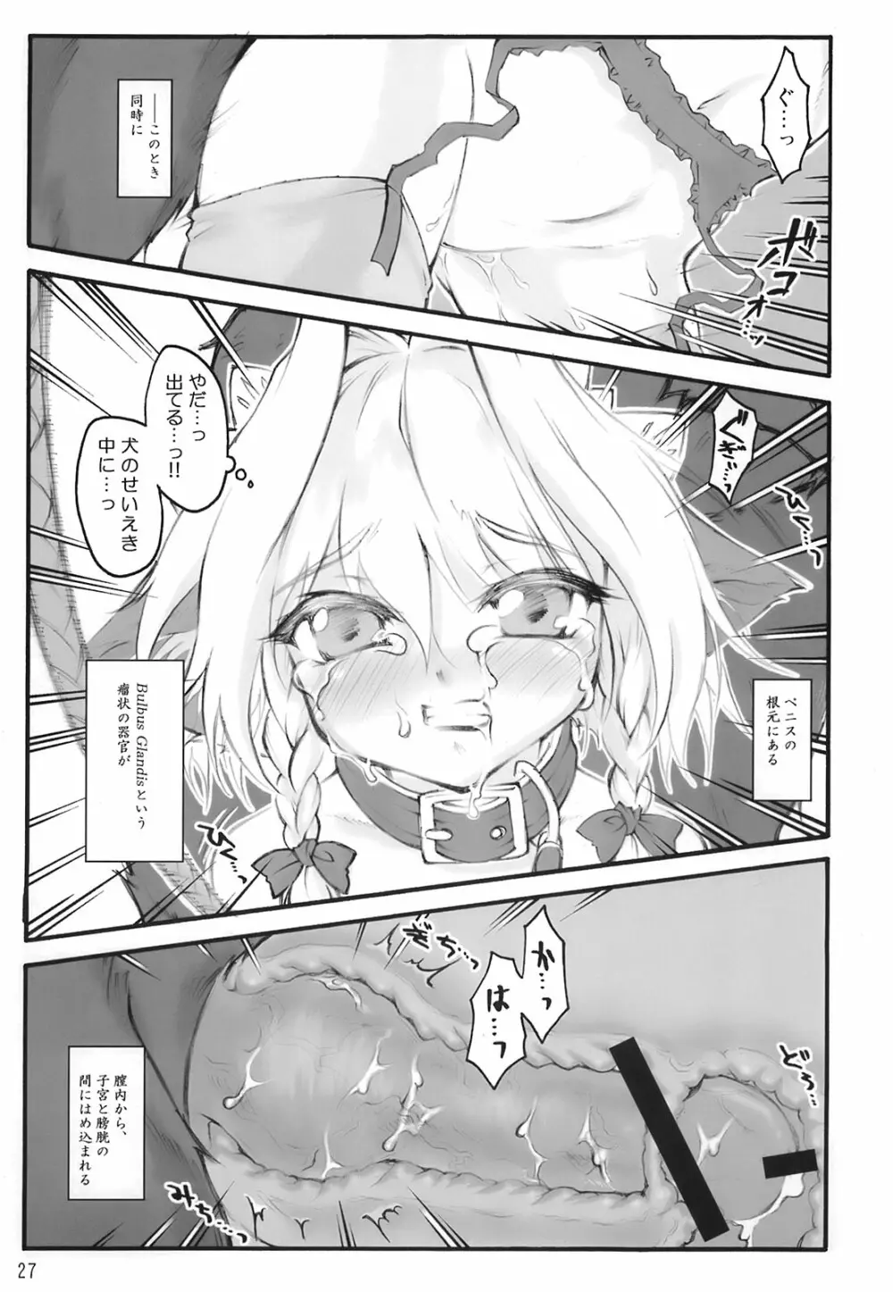 これ強Kきかないんですけど Page.27