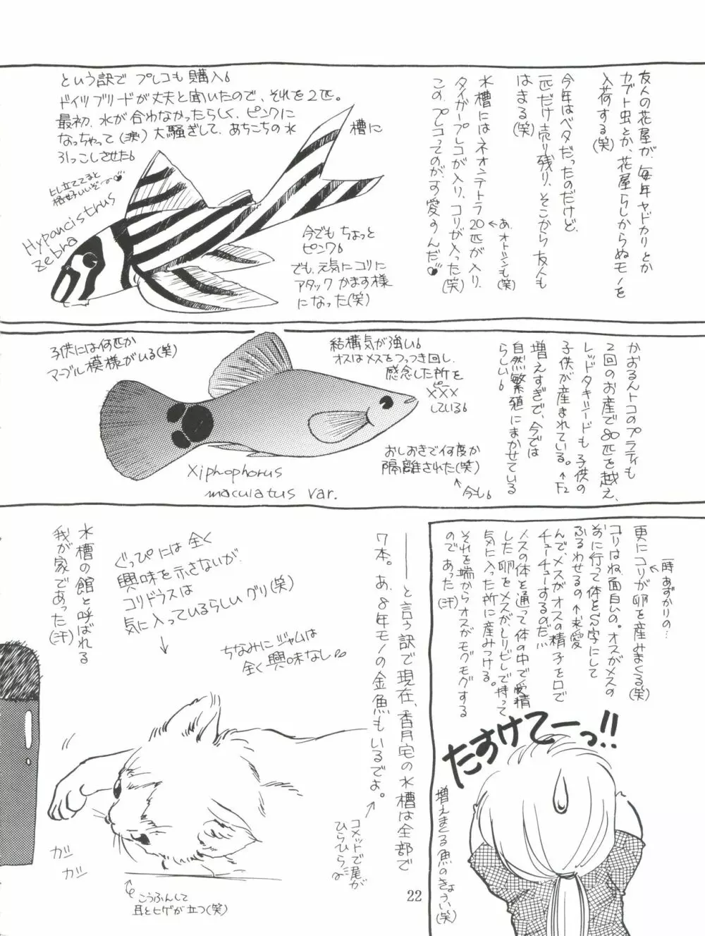 天使のしっぽ Page.26