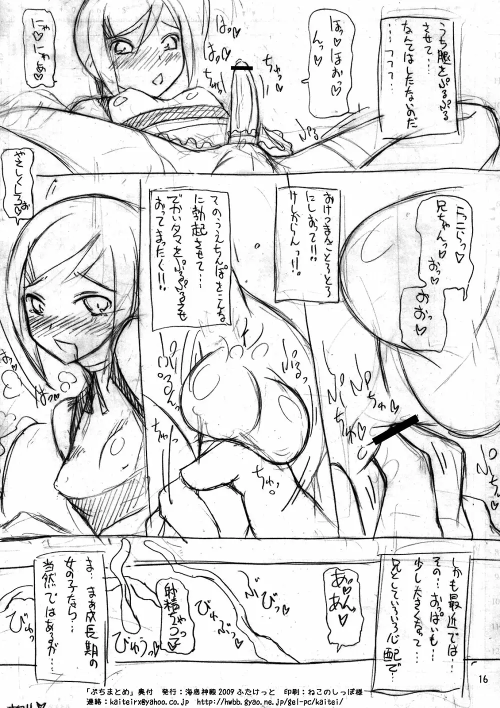 「ぷちまとめ」 Page.16