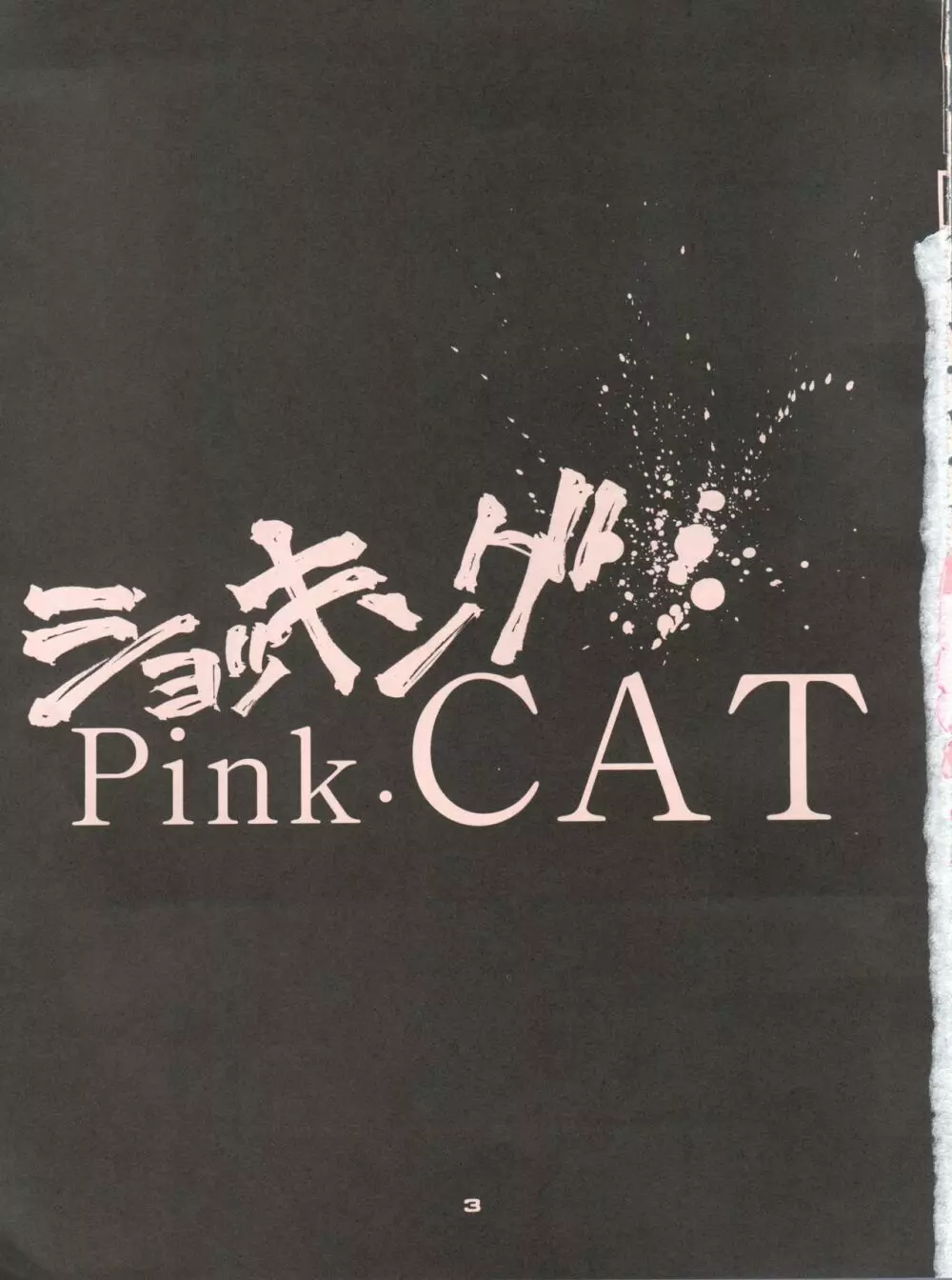 ショッキングPINK・CAT Page.2