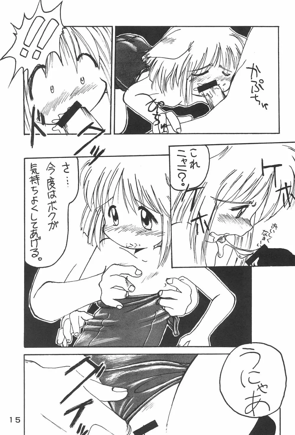 ねこきゃっち Page.17