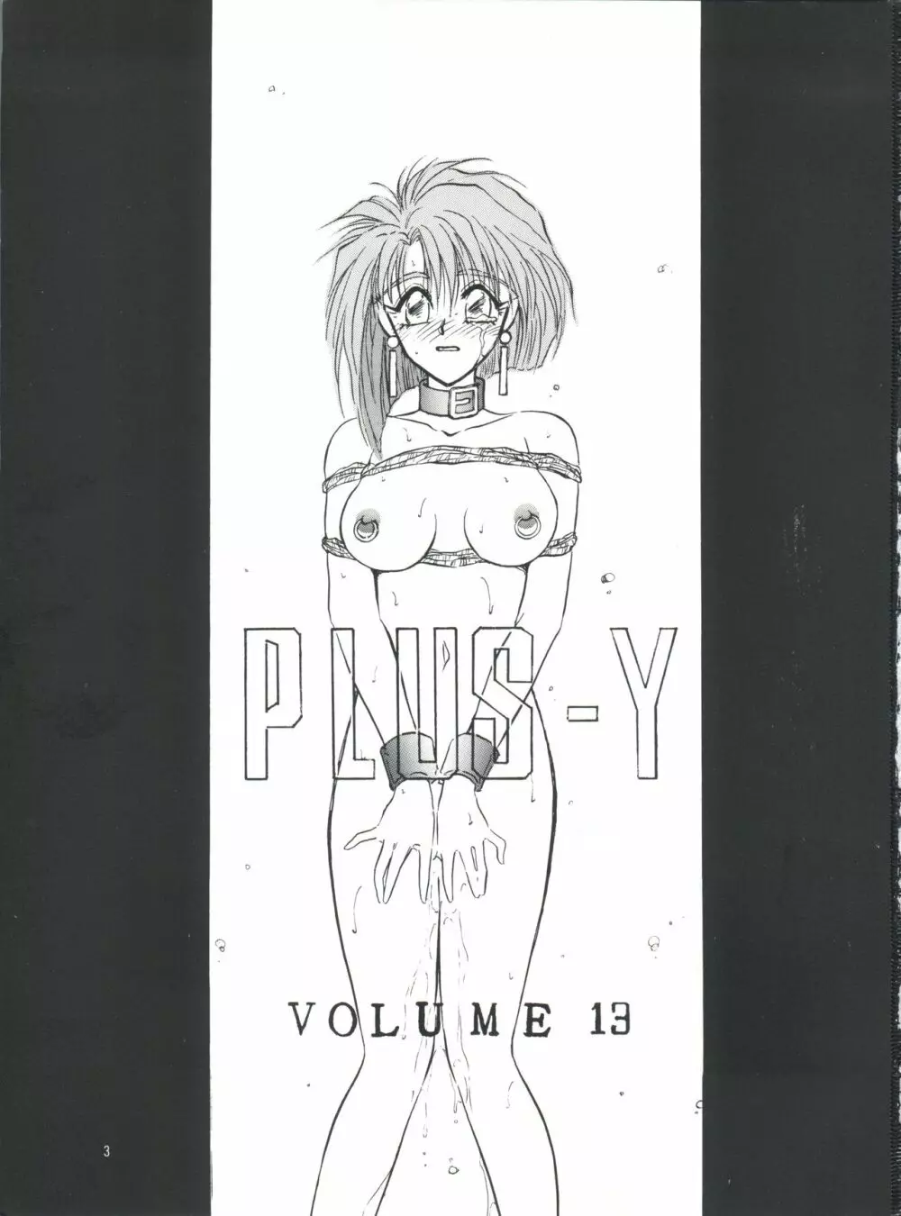 プラスY Vol.13 Page.4