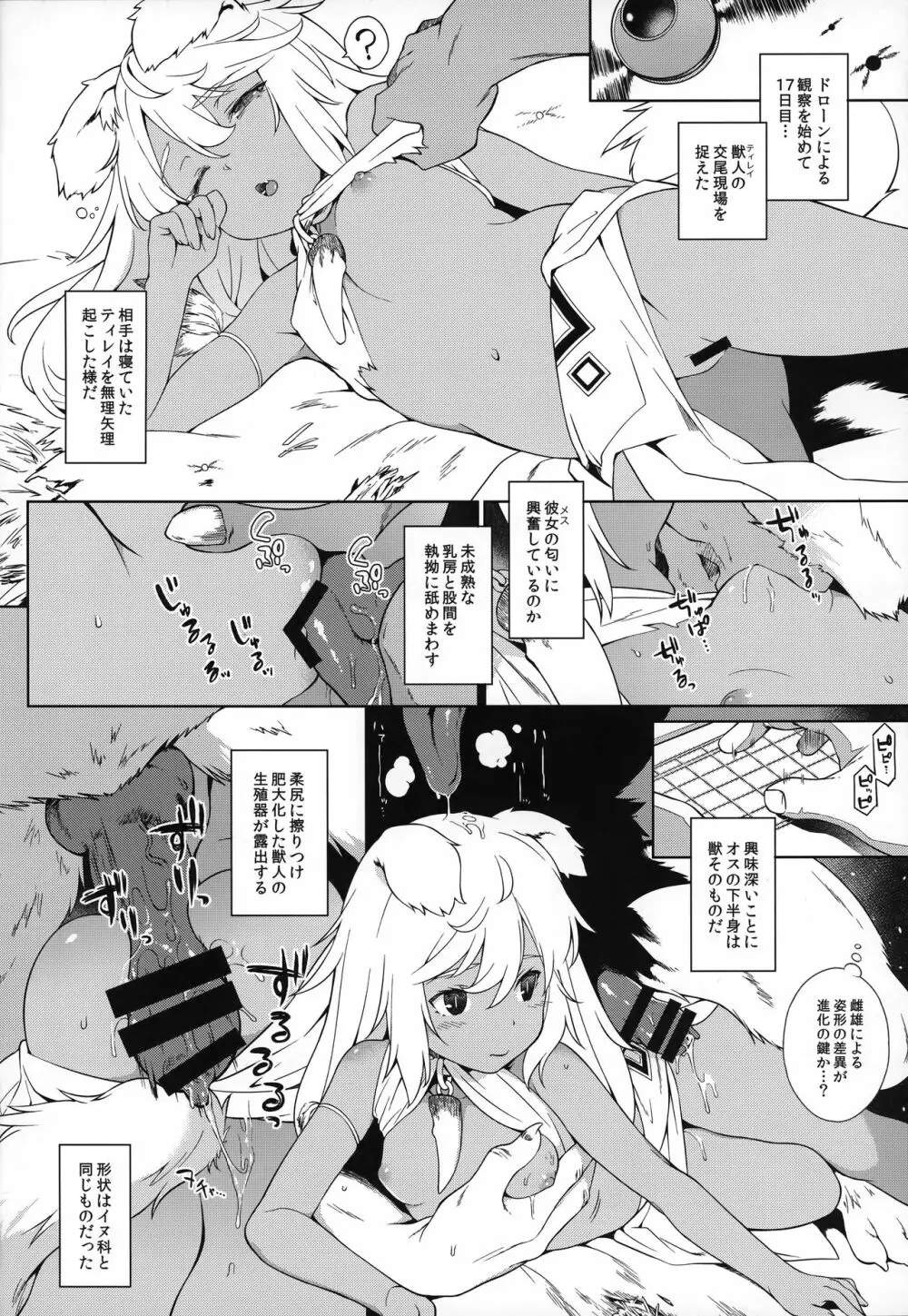 獣人生態観察記録 Page.11