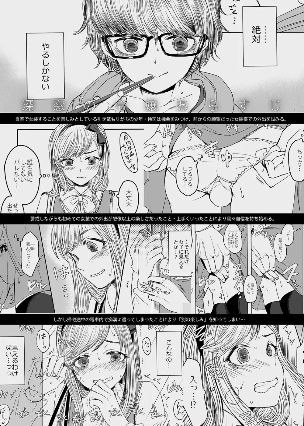 深窓の令嬢 2 Page.2