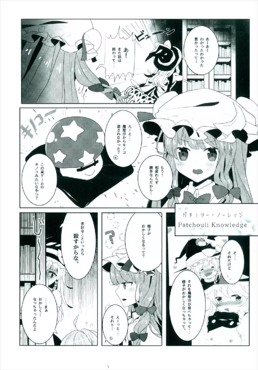 えっちな幻想郷～パチュリーとえっちな魔法編～ Page.6