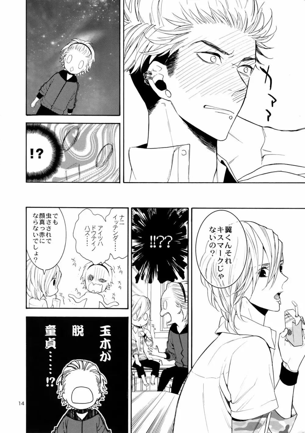 麗しのビンカ・マジョール Page.13