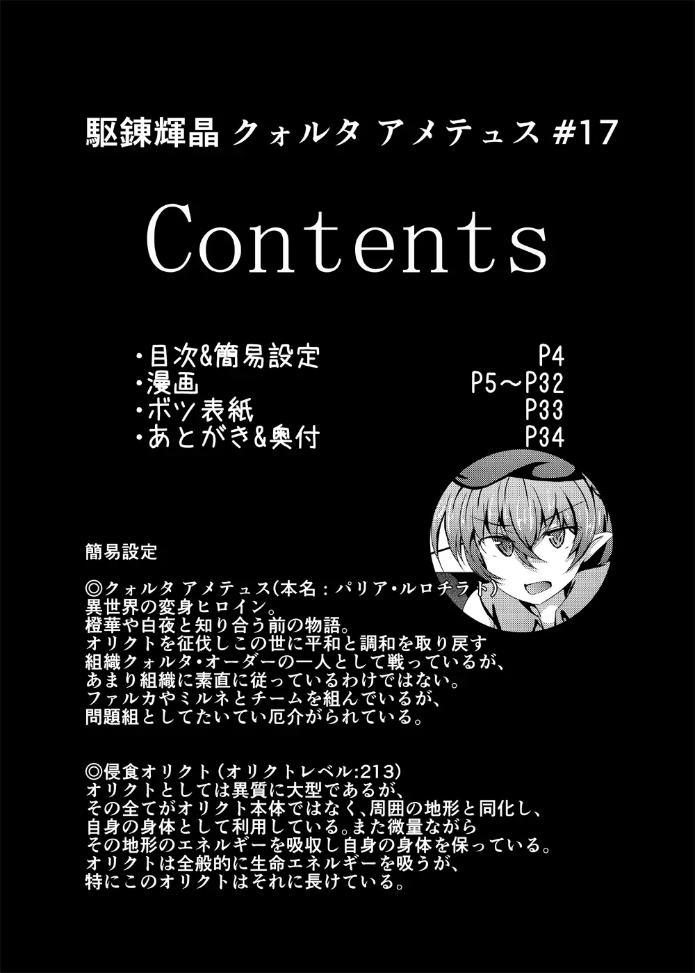 駆錬輝晶 クォルタ アメテュス #17 Page.3