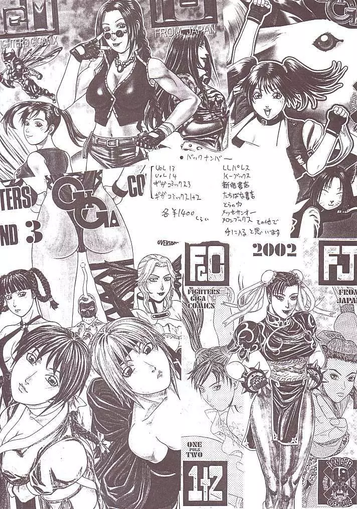 FIGHTERS GIGAMIX FGM Vol.15 Page.55