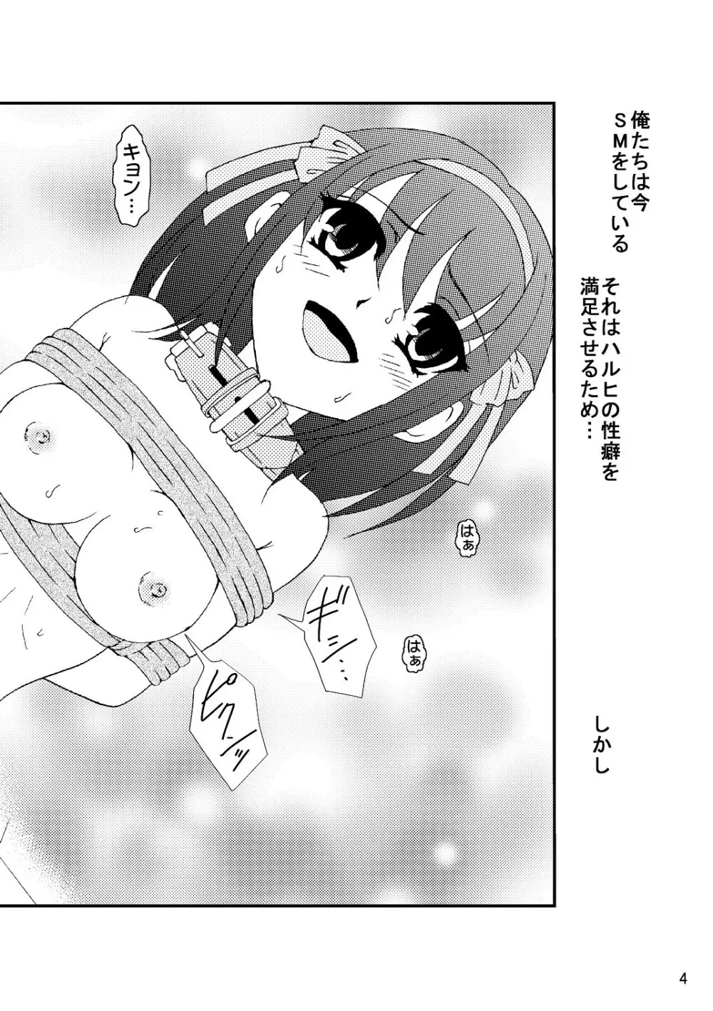 涼宮ハルヒさんの危険な愛体験3 Page.5