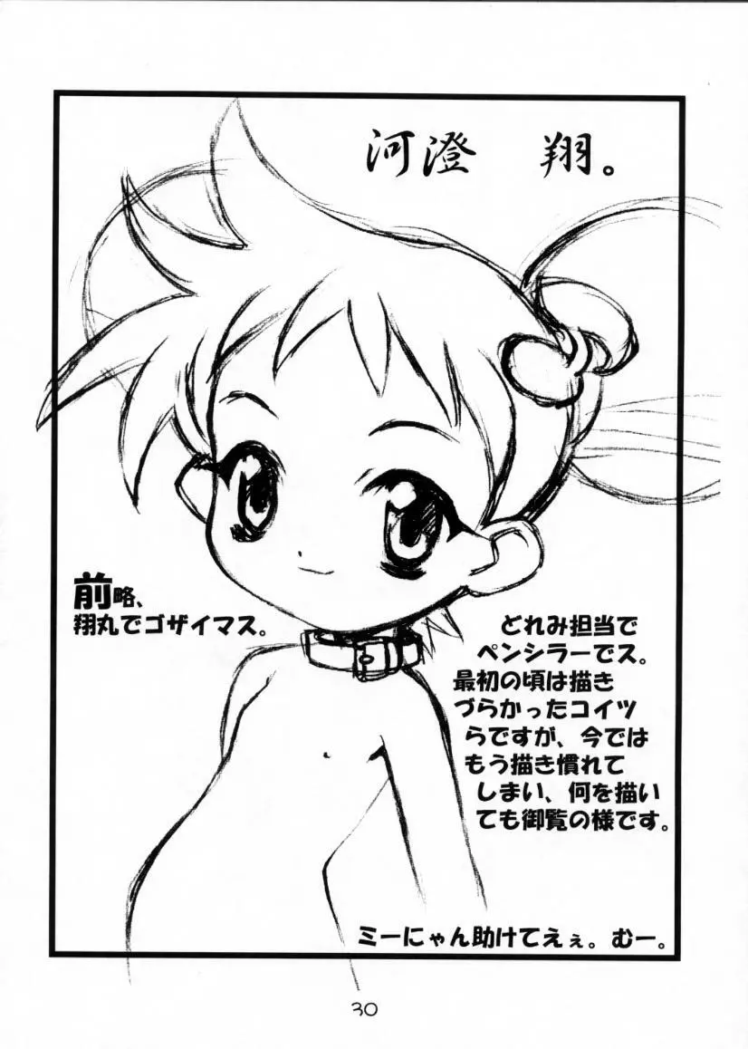 激闘！魔女狩りフェスタ Page.29