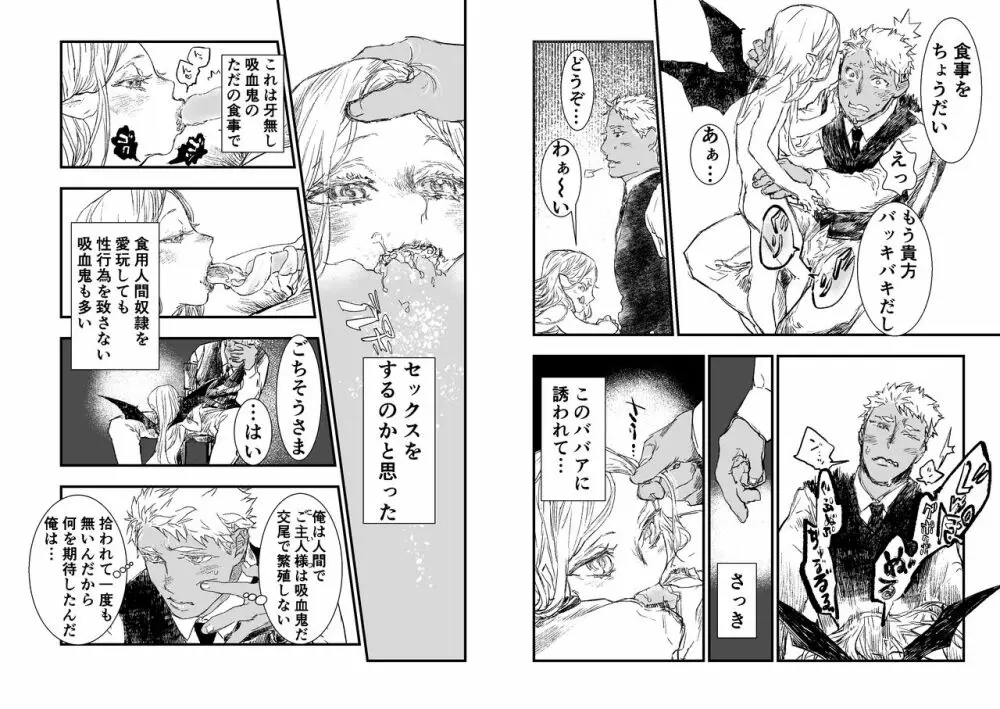 吸血鬼ロリババアと食用人間奴隷くん Page.15