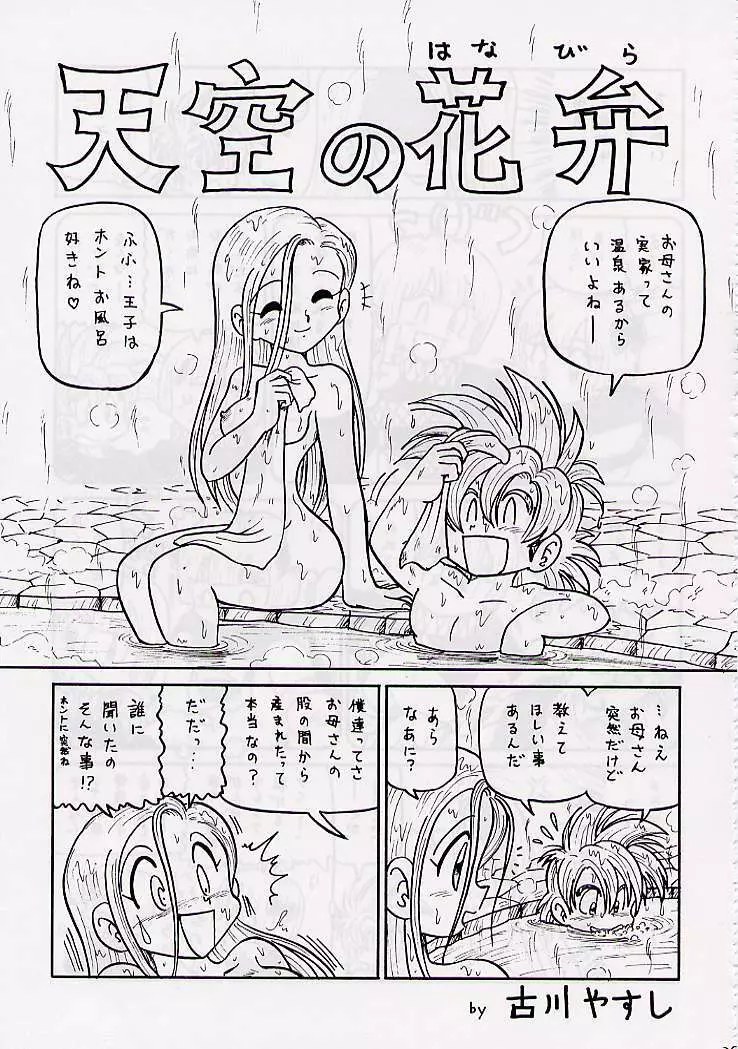 DRAGONQUEST nirvana Page.38