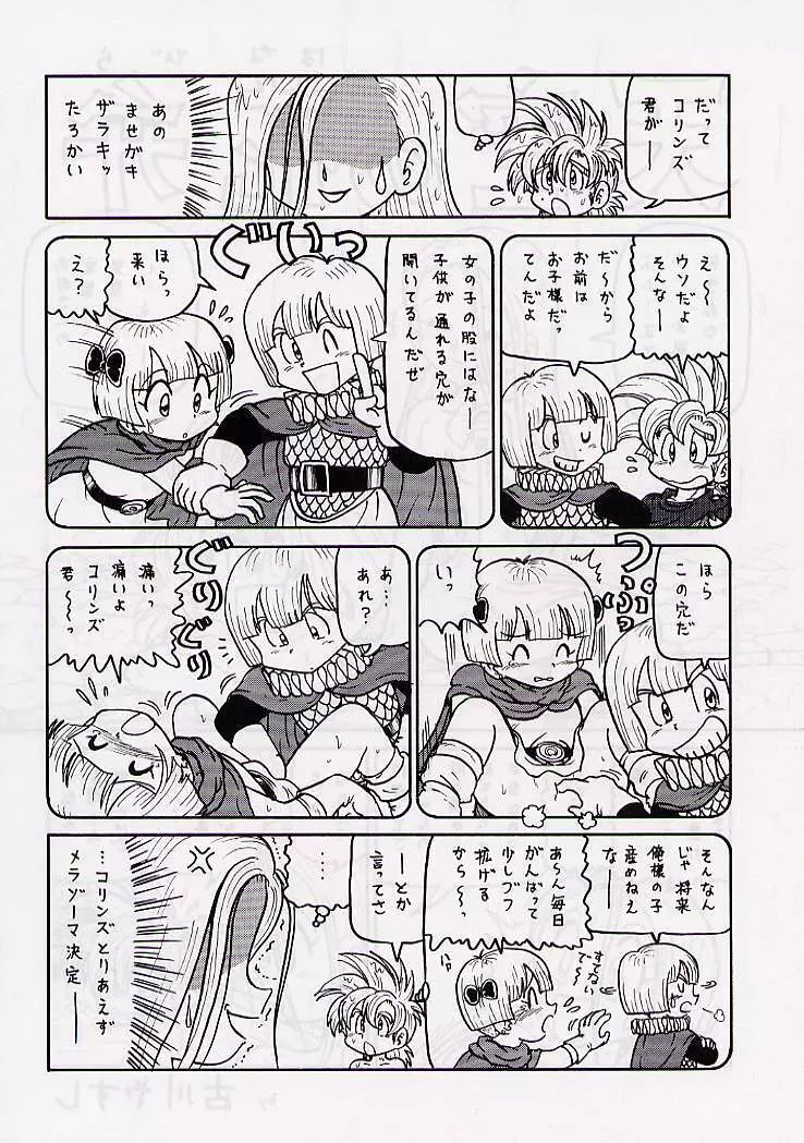 DRAGONQUEST nirvana Page.39