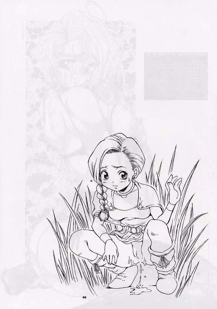 DRAGONQUEST nirvana Page.45