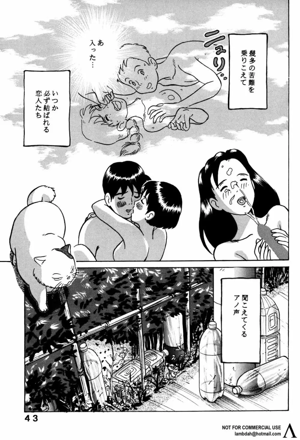 スタジオズブリ作品 Page.42