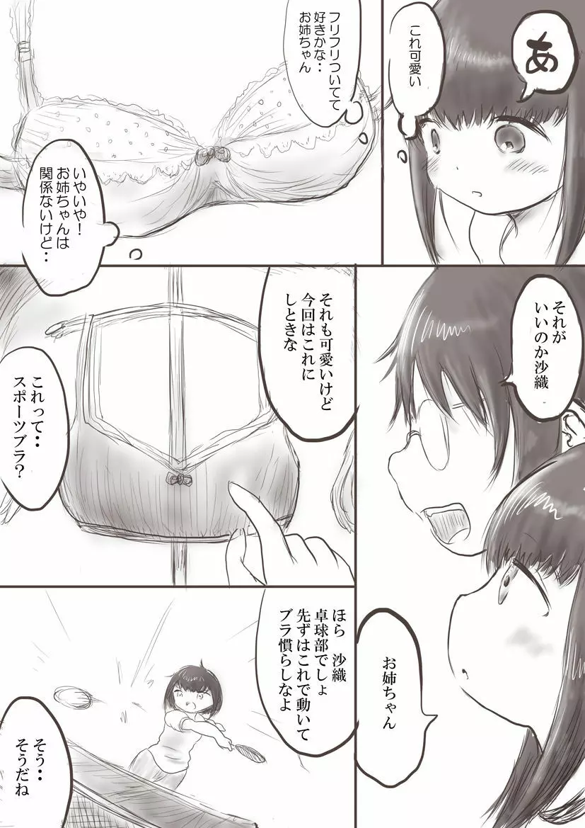 お姉ちゃんと沙織の初めてブラ Page.3