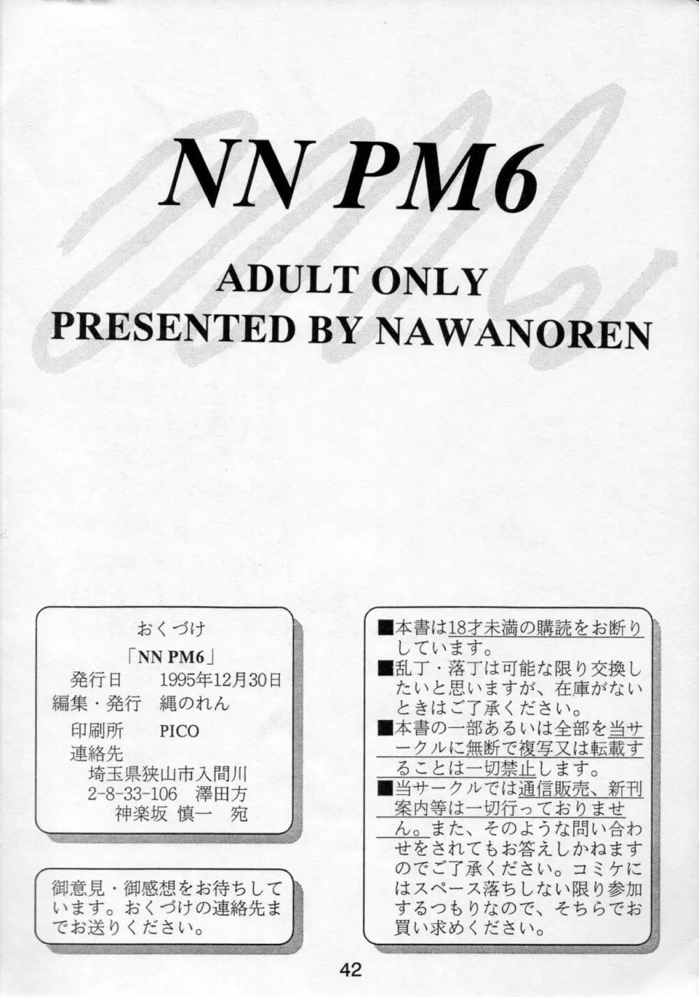NN PM6 Page.41