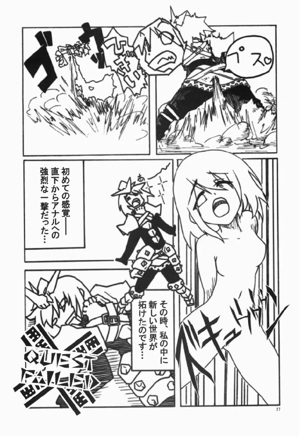 CHROMIUM EDELWEISS Page.26