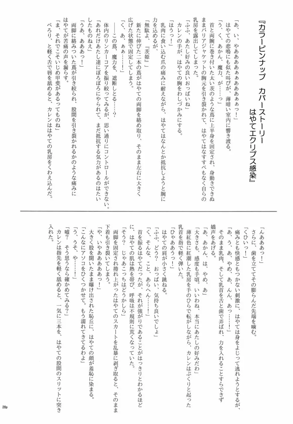 T-28 WARUIKO Page.29