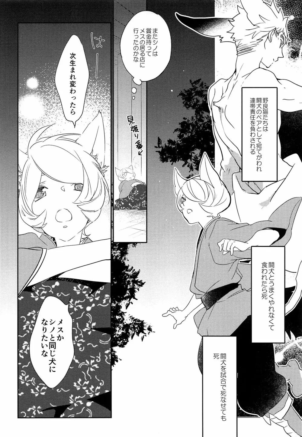 闘犬シノ丸と担当整備猫ヤマギの恋物語 Page.5